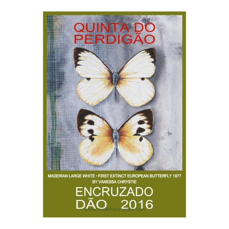 Quinta Perdigão Reserve White Wine 2016