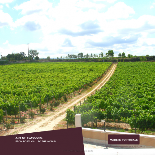 Quinta de Linhares Premium White Wine 2019