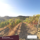 Quinta do Azinhal Red Wine 2015