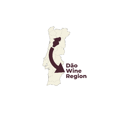 Quinta do Sobral Malvasia Fina White Wine 2022 Dão