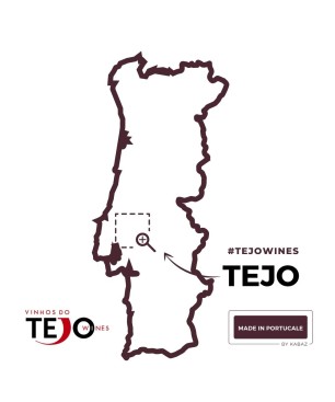 Bridão Classic Red Wine DOC Tejo