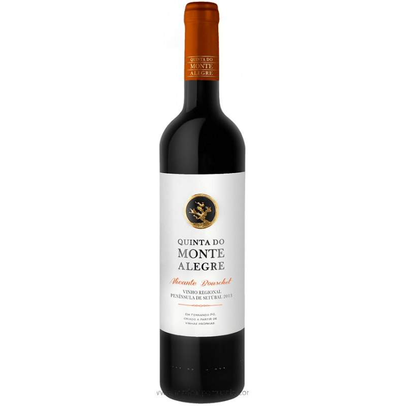 Quinta do Monte Alegre Alicante Bouschet - Red Wine 2013