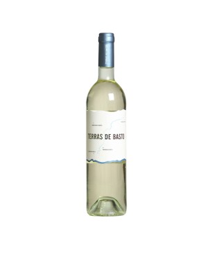 Vinho Branco Terras de Basto