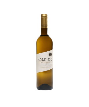 Vale do Tâmega Vinho Branco Alvarinho Trajadura 0,75lts