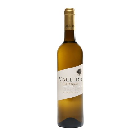 Vale do Tâmega Vinho Branco Alvarinho Trajadura 0,75lts