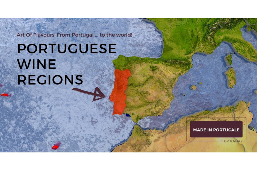 Portuguese Wines Regions - What you need to know.