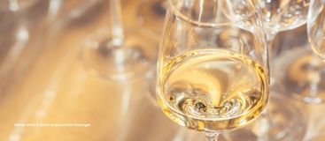  White Wine 