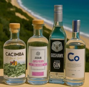  Gin 